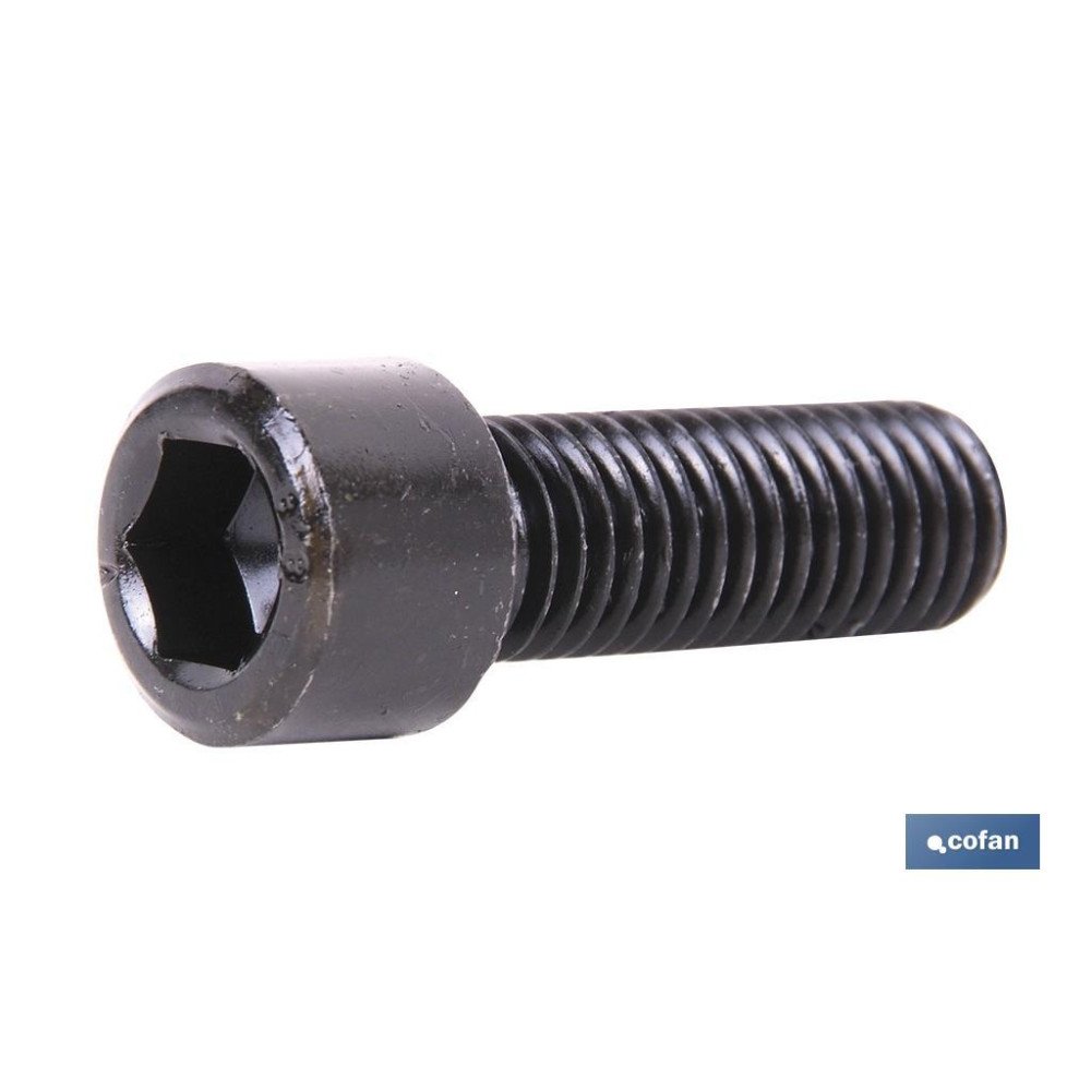 DIN-912 C-12.9    M-8 X 100 N (PACK: 10 UDS)