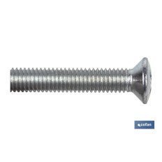 DIN 966 C-6 M-6 X 10 Z (PACK: 100 UDS)