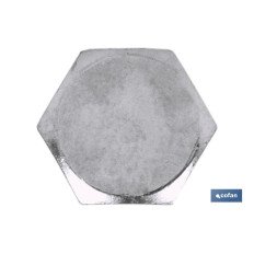 DIN-571  C-6  M-10 X 160  Z (PACK: 25 UDS)