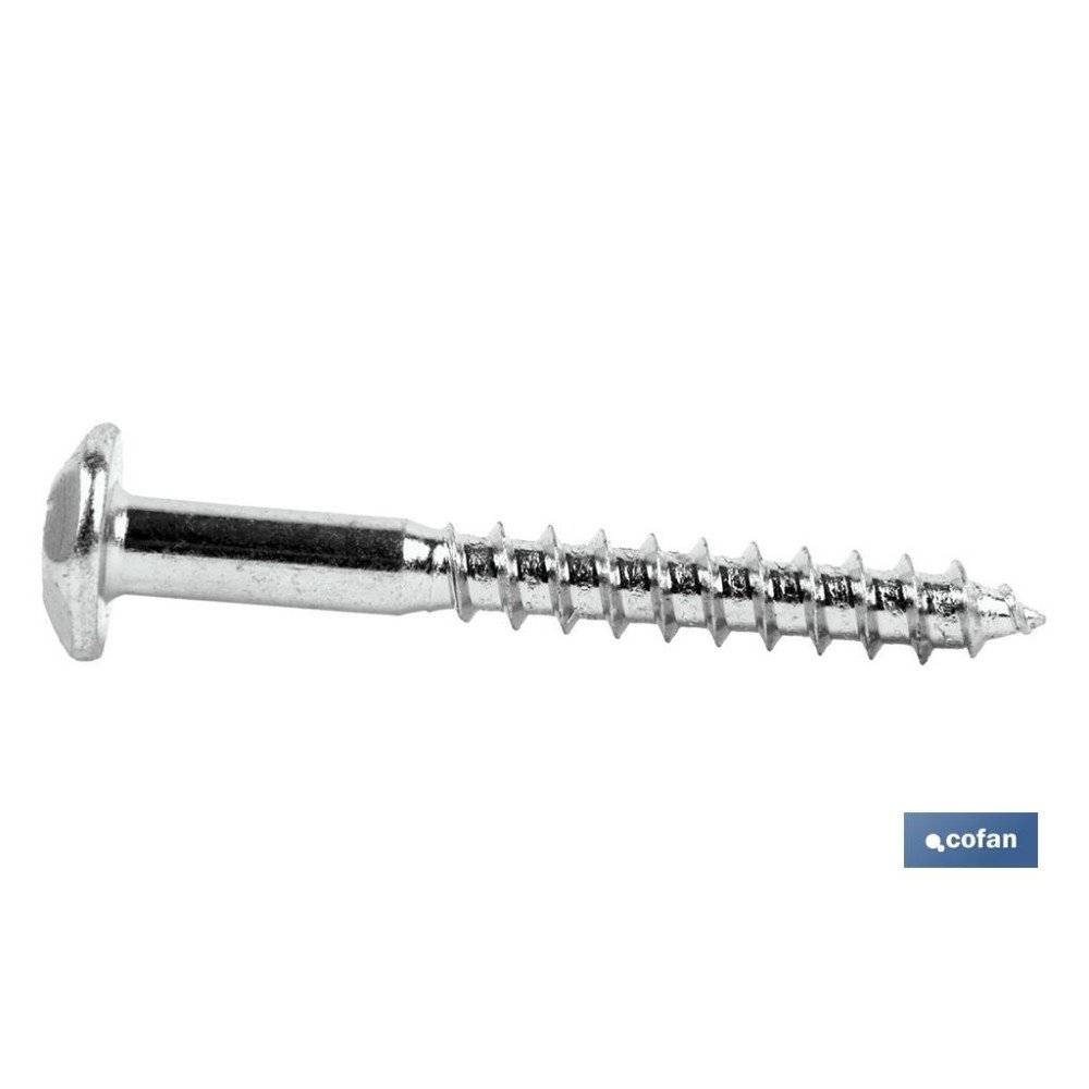 TORNILLO INVIOLABLE TORX30 M-7X70 (PACK: 100 UDS)