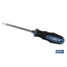 DESTORNILLADOR REVERSIBLE 6X100 MM (PACK: 1 UDS)