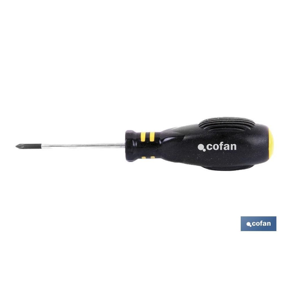 DESTORNILLADOR POZIDRIVE PZ. 2 X 100 (PACK: 1 UDS)