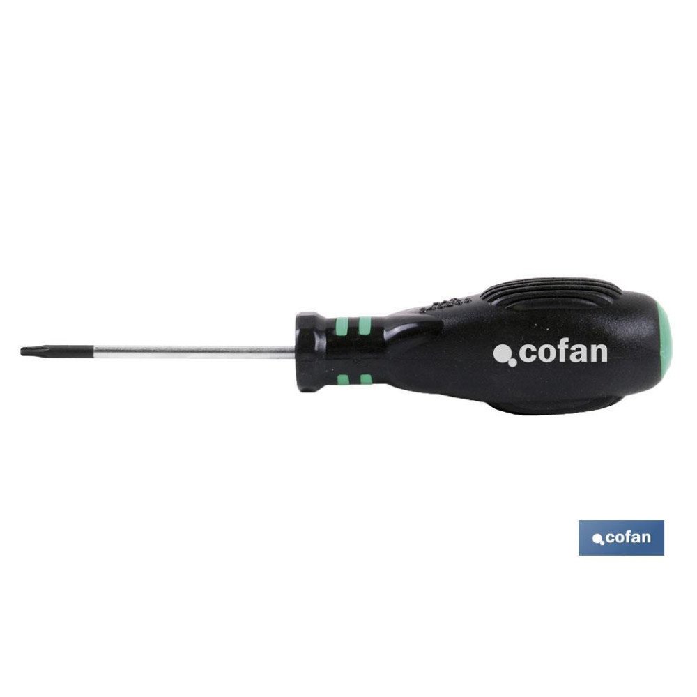 DESTORNILLADOR TORX 25 X 100 (PACK: 1 UDS)