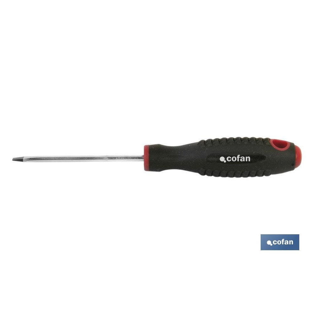 DESTORN. CR-MOLIBDENO PLANO SL-6,5X100 (PACK: 1 UDS)