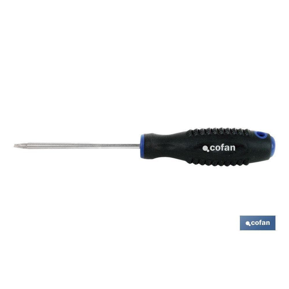 DESTORN. CR-MOLIBDENO SPANNER 4X100 (PACK: 1 UDS)