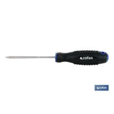 DESTORN. CR-MOLIBDENO SPANNER 6X100 (PACK: 1 UDS)