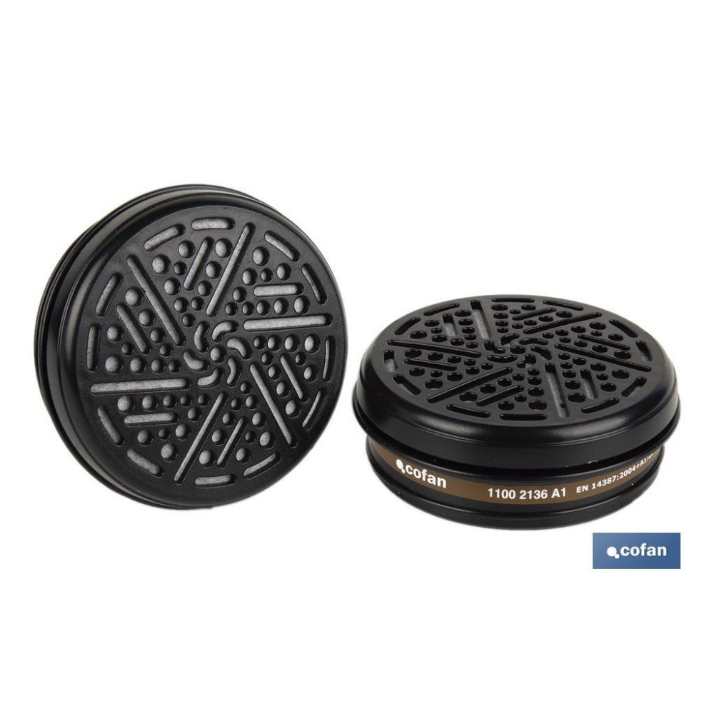 SET 2 FILTROS TIPO A1 (PACK: 1 UDS)