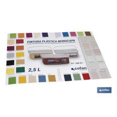 CARTA DE COLORES PINTURA PLASTICA MONOCAPA (PACK: 1 UDS)