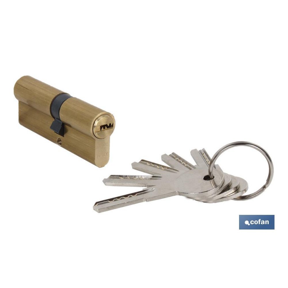CILINDRO DE SEGURIDAD DE LATÓN 35/35 - LEVA LARGA IGUALADOS AAA (PACK: 1 UDS)