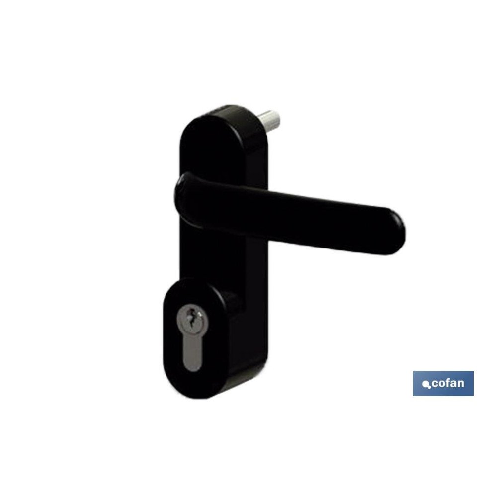 MANIVELA+CILINDRO ANTIPÁNICO (PACK: 1 UDS)