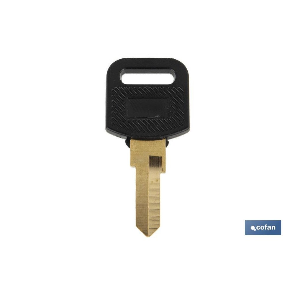 LLAVE EN BRUTO PARA BUZON (PACK: 10 UDS)