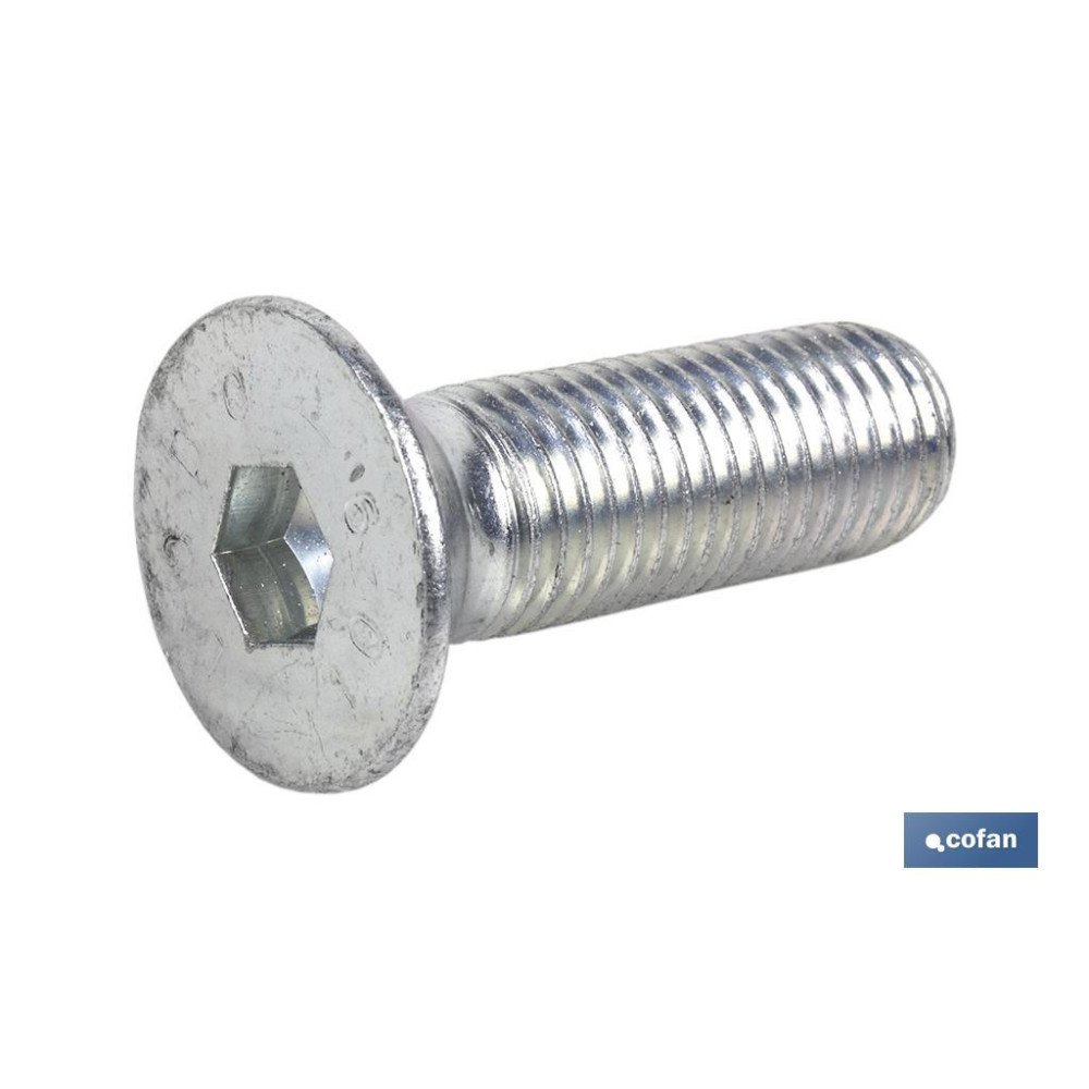 DIN-7991 C-10.9  M-3 X 06 Z (PACK: 200 UDS)