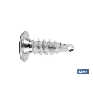 Tornillo autotaladrante cabeza extraplana Phillips INOX